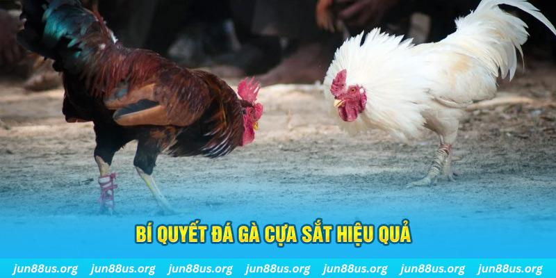12 bet casino kèo nhà cái